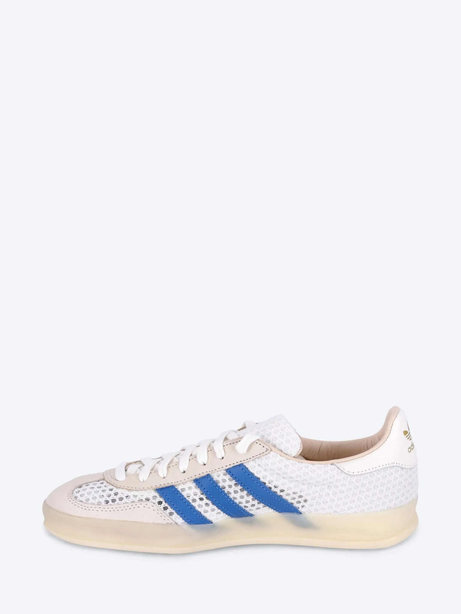 Gazelle indoor