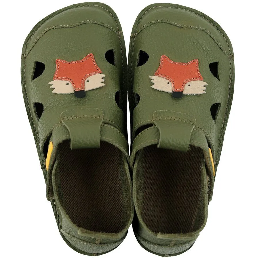 Tikki/Lang.S Nido  Fox